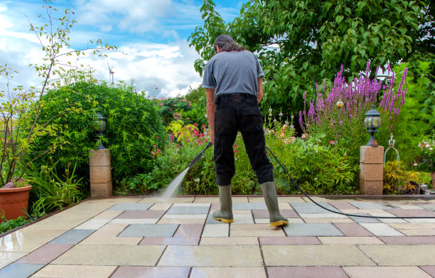 Best Driveway Pressure Washing  in Pimmit Hills, VA